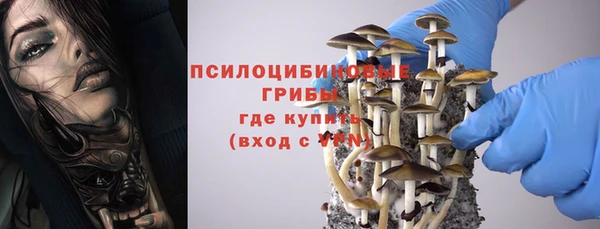 прущие грибы Алексин