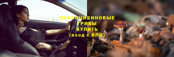 прущие грибы Алексин
