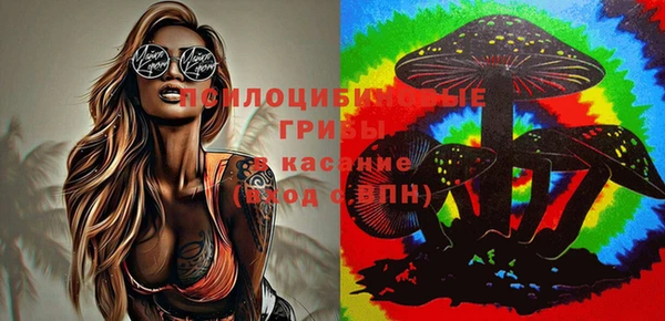 эйфоретик Алексеевка