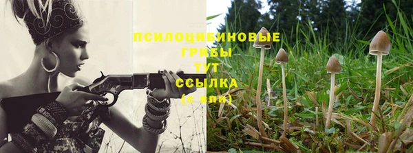 бошки Алзамай