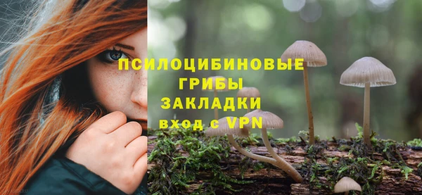 эйфоретик Алексеевка