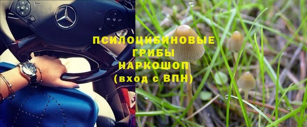 эйфоретик Алексеевка